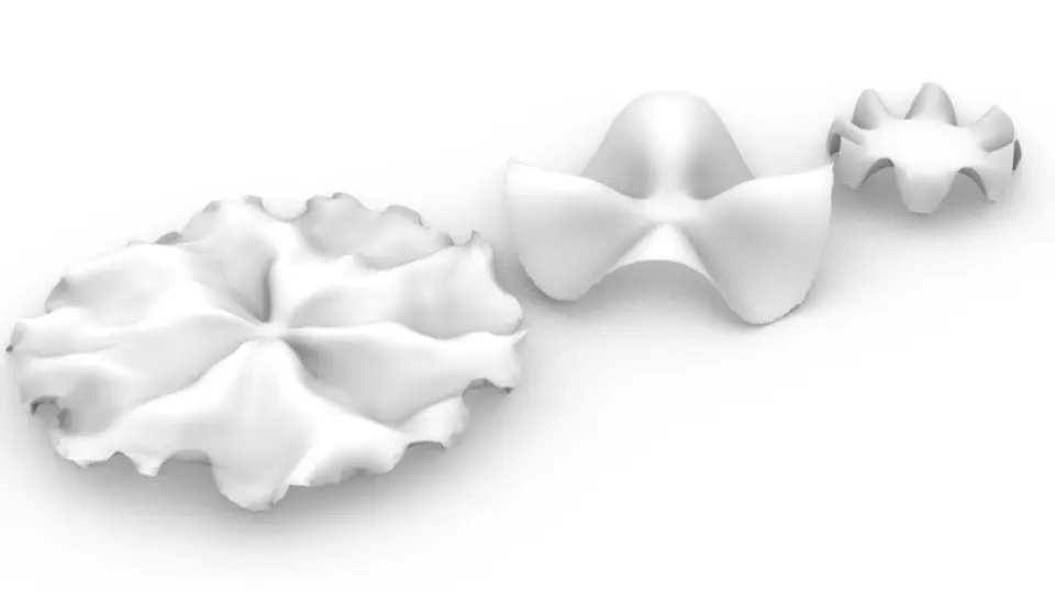 Differential Growth