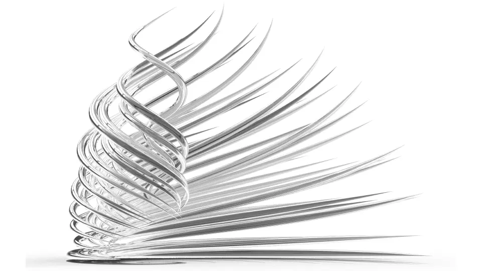 Vector Fields